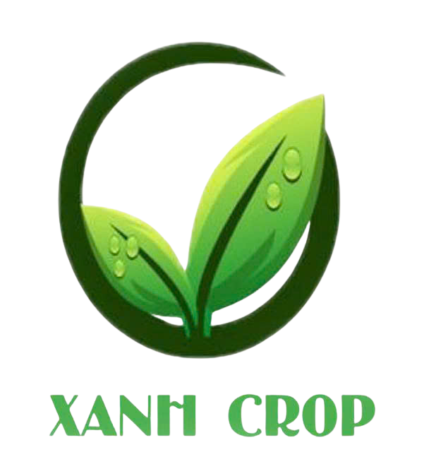 Kho Cây Giả Tại TpHCM +1000 Mẫu Sẵn Giá Rẻ