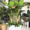 Bồn Cây Chuối Bẹ Tiểu Cảnh Giả Trang Trí Cửa Hàng, Studio, Tiệm Quán, Văn Phòng, Nhà Cửa – Cao 2m1