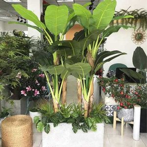 Bồn Cây Chuối Bẹ Tiểu Cảnh Giả Trang Trí Cửa Hàng, Studio, Tiệm Quán, Văn Phòng, Nhà Cửa – Cao 2m1