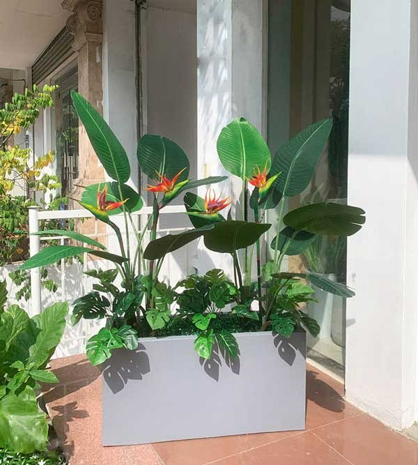 Bồn Cây Chuối Thiên Điểu Giả Trang Trí Cửa Hàng, Studio, Tiệm Quán, Văn Phòng, Nhà Cửa – Dài 1m4