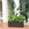 Bồn Cây Chuối Tiểu Cảnh Giả Trang Trí Cửa Hàng, Studio, Tiệm Quán, Văn Phòng, Nhà Cửa – Cao 1m4