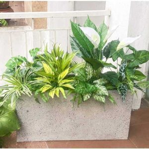 Bồn Cây Tiểu Cảnh Giả Trang Trí Cửa Hàng, Studio, Tiệm Quán, Văn Phòng, Nhà Cửa – 80x85cm