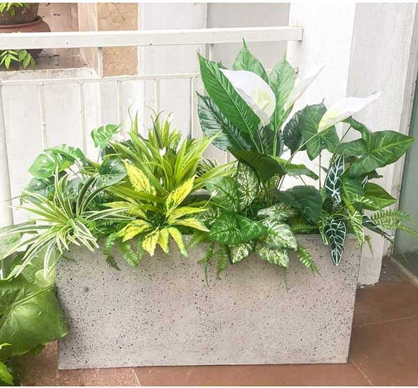 Bồn Cây Tiểu Cảnh Giả Trang Trí Cửa Hàng, Studio, Tiệm Quán, Văn Phòng, Nhà Cửa – 80x85cm
