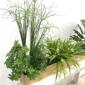 Bồn Cây Tiểu Cảnh Giả Trang Trí Cửa Hàng, Studio, Tiệm Quán, Văn Phòng, Nhà Cửa – Dài 1m2