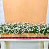 Bồn Cúc Họa Mi Giả Trang Trí Cửa Hàng, Studio, Tiệm Quán, Văn Phòng, Nhà Cửa – Dài 1m2