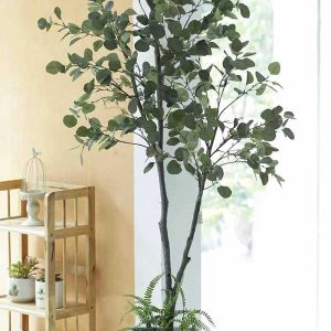 Cây Bạch Đàn Giả Trang Trí Cửa Hàng, Studio, Tiệm Quán, Văn Phòng, Nhà Cửa – 2m1