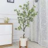 Cây Bạch Đàn Giả Cao 1m3 - Trang Trí Cửa Hàng, Studio, Tiệm Quán, Văn Phòng, Nhà Cửa