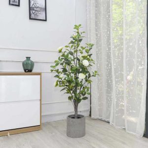 Cây bạch trà giả trang trí nhà cửa, shop, cty đều đẹp [1m -1m4]
