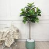 Cây Bàng Singapore Giả Cao 1m5 XC111