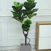 Cây Bàng Singapore Giả Cao 1m5