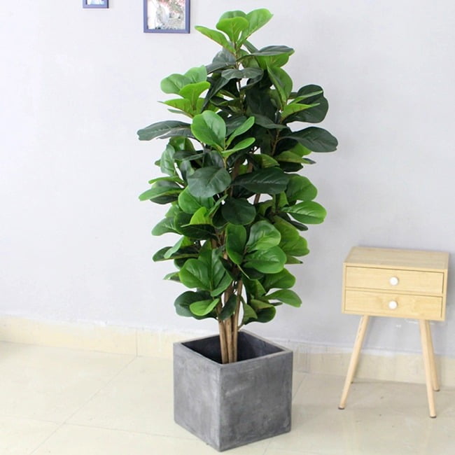 Cây Bàng Singapore Giả Cao 1m50 – Mã: XCCC01