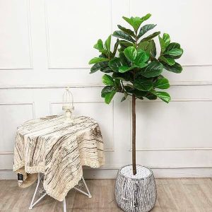 Cây Bàng Singapore Giả Cao 1m8 - Mã: XC180