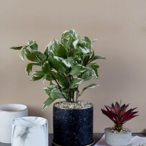 Cây Cẩm Thạch Mini Giả – [30cm]