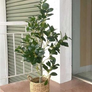 Cây Chanh Giả Cao 1m