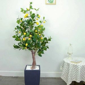 Cây Chanh Giả Cao 1m6