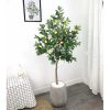 Cây Chanh Vàng Giả Cao 1m6
