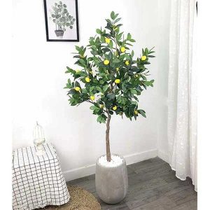 Cây Chanh Vàng Giả Cao 1m6
