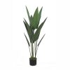 Cây Chuối Cảnh Lá Nhọn Giả Cao 1m15