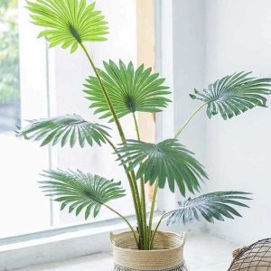 Cây Cọ Giả Trang Trí Cửa Hàng, Studio, Tiệm Quán, Văn Phòng, Nhà Cửa – Cao 1m2