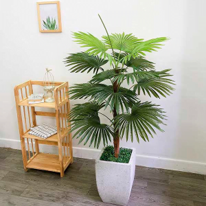 Cây Cọ Giả Trang Trí Cửa Hàng, Studio, Tiệm Quán, Văn Phòng, Nhà Cửa – Cao 1m2