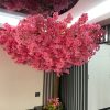 Cây Đào Giả Cao 2m7 - Trang Trí Cửa Hàng, Studio, Tiệm Quán, Văn Phòng, Nhà Cửa