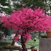 Cây Đào Giả Cao 3m - Trang Trí Cửa Hàng, Studio, Tiệm Quán, Văn Phòng, Nhà Cửa