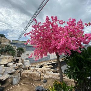 Cây Đào Giả Cao 3m2 - Trang Trí Cửa Hàng, Studio, Tiệm Quán, Văn Phòng, Nhà Cửa