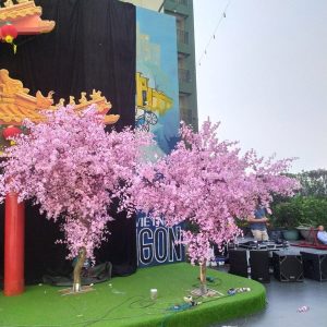Cây Đào Giả Cao 5m - Trang Trí Cửa Hàng, Studio, Tiệm Quán, Văn Phòng, Nhà Cửa