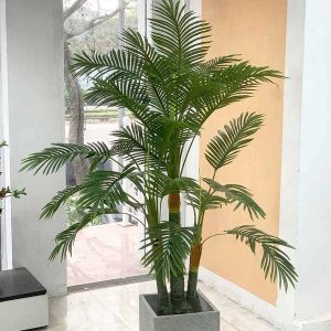 Cây Dừa Giả Trang Trí Cửa Hàng, Studio, Tiệm Quán, Văn Phòng, Nhà Cửa – Cao 1m65– Mã: PN-CG126