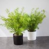 Cây Hương Thảo Giả Để Bàn Và Kệ Tủ
