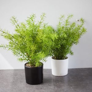 Cây Hương Thảo Giả Để Bàn Và Kệ Tủ