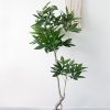 Cây Kim Ngân Giả Trang Trí Cửa Hàng, Studio, Tiệm Quán, Văn Phòng, Nhà Cửa – Cao 1m5