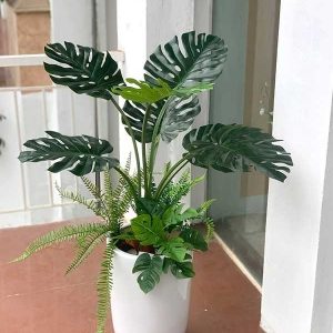Cây Monstera Giả Cao 1m - Trang Trí Cửa Hàng, Studio, Tiệm Quán, Văn Phòng, Nhà Cửa