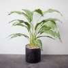 Cây Ngọc Ngân Giả Để Bàn, Trưng Tủ Kệ Đều Đẹp [35cm]