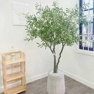 Cây Ô Liu Giả Cao 1m80 Trang Trí Cửa Hàng, Studio, Tiệm Quán, Văn Phòng, Nhà Cửa