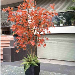 Cây Phong Lá Xanh Giả 2m5 Trang Trí Nội Ngoại Thất Đẹp Sang