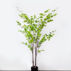 Cây Thạch Nam Giả 2 Thân Cao 1m5 - Trang Trí Cửa Hàng, Studio, Tiệm Quán, Văn Phòng, Nhà Cửa