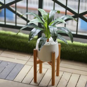 Cây Thiết Mộc Lan Giả Mini Để Bàn – Cao 40cm