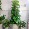 Cây Trầu Bà Cột Giả Trang Trí Cửa Hàng, Studio, Tiệm Quán, Văn Phòng, Nhà Cửa – Cao 1m45