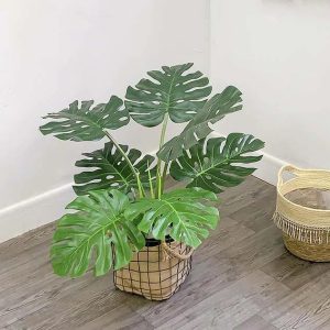 Cây Trầu Bà Lá Xẻ Giả (Monstera) Trang Trí Cửa Hàng, Studio, Tiệm Quán, Văn Phòng, Nhà Cửa – Cao 65cm