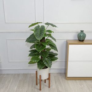Cây Trầu Bà Leo Cột Giả Cao 1,2m
