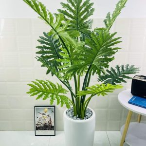 Cây Trầu Bà Thanh Xuân Trang Trí Cửa Hàng, Studio, Tiệm Quán, Văn Phòng, Nhà Cửa – Cao 140cm