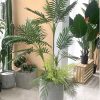 [Combo-mix] Cây Dừa Giả Trang Trí Cửa Hàng, Studio, Tiệm Quán, Văn Phòng, Nhà Cửa – Cao 1m25