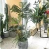 [Combo-mix] Cây Dừa Giả Trang Trí Cửa Hàng, Studio, Tiệm Quán, Văn Phòng, Nhà Cửa – Cao 1m5