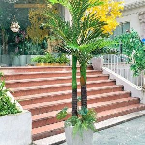 [Combo-mix] Cây Dừa Giả Trang Trí Cửa Hàng, Studio, Tiệm Quán, Văn Phòng, Nhà Cửa – Cao 2m2– Mã: PN-CG133