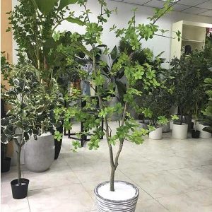 Cây Thạch Nam Giả 1m6 Trang Trí Cửa Hàng, Studio, Văn Phòng