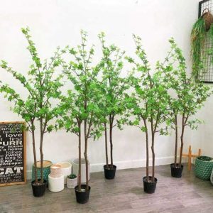 Combo Cây Thạch Nam Nhật Bản Giả 1m8 Đẹp Tự Nhiên