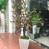 [Combo-mix]Cây Lựu Giả Trang Trí Cửa Hàng, Studio, Tiệm Quán, Văn Phòng, Nhà Cửa – 1m5