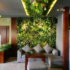 Tường Cây Giả Trang Trí Cửa Hàng, Studio, Tiệm Quán, Văn Phòng, Nhà Cửa