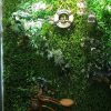 Tường Cây Giả Trang Trí Cửa Hàng, Studio, Tiệm Quán, Văn Phòng, Nhà Cửa